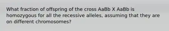 What fraction of offspring of the cross AaBb X AaBb is homozygous for all the recessive alleles, assuming that they are on different chromosomes?