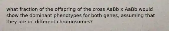 what fraction of the offspring of the cross AaBb x AaBb would show the dominant phenotypes for both genes, assuming that they are on different chromosomes?