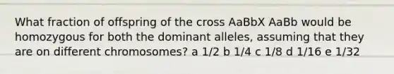 What fraction of offspring of the cross AaBbX AaBb would be homozygous for both the dominant alleles, assuming that they are on different chromosomes? a 1/2 b 1/4 c 1/8 d 1/16 e 1/32