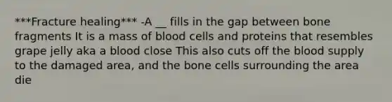 ***Fracture healing*** -A __ fills in the gap between bone fragments It is a mass of blood cells and proteins that resembles grape jelly aka a blood close This also cuts off the blood supply to the damaged area, and the bone cells surrounding the area die