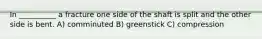 In __________ a fracture one side of the shaft is split and the other side is bent. A) comminuted B) greenstick C) compression