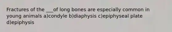 Fractures of the ___of long bones are especially common in young animals a)condyle b)diaphysis c)epiphyseal plate d)epiphysis