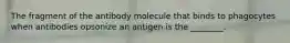 The fragment of the antibody molecule that binds to phagocytes when antibodies opsonize an antigen is the ________.