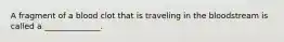 A fragment of a blood clot that is traveling in the bloodstream is called a ______________.