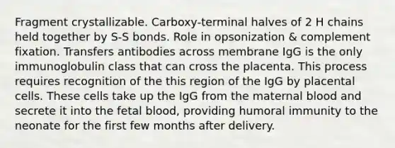 Fragment crystallizable. Carboxy-terminal halves of 2 H chains held together by S-S bonds. Role in opsonization & complement fixation. Transfers antibodies across membrane IgG is the only immunoglobulin class that can cross the placenta. This process requires recognition of the this region of the IgG by placental cells. These cells take up the IgG from the maternal blood and secrete it into the fetal blood, providing humoral immunity to the neonate for the first few months after delivery.