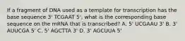 If a fragment of DNA used as a template for transcription has the base sequence 3' TCGAAT 5', what is the corresponding base sequence on the mRNA that is transcribed? A. 5' UCGAAU 3' B. 3' AUUCGA 5' C. 5' AGCTTA 3' D. 3' AGCUUA 5'