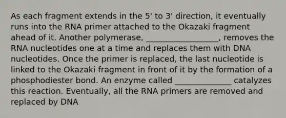 As each fragment extends in the 5' to 3' direction, it eventually runs into the RNA primer attached to the Okazaki fragment ahead of it. Another polymerase, __________________, removes the RNA nucleotides one at a time and replaces them with DNA nucleotides. Once the primer is replaced, the last nucleotide is linked to the Okazaki fragment in front of it by the formation of a phosphodiester bond. An enzyme called ______________ catalyzes this reaction. Eventually, all the RNA primers are removed and replaced by DNA