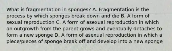 What is fragmentation in sponges? A. Fragmentation is the process by which sponges break down and die B. A form of sexual reproduction C. A form of asexual reproduction in which an outgrowth from the parent grows and eventually detaches to form a new sponge D. A form of asexual reproduction in which a piece/pieces of sponge break off and develop into a new sponge