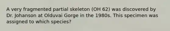 A very fragmented partial skeleton (OH 62) was discovered by Dr. Johanson at Olduvai Gorge in the 1980s. This specimen was assigned to which species?