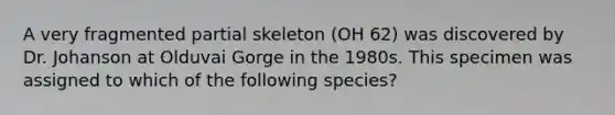 A very fragmented partial skeleton (OH 62) was discovered by Dr. Johanson at Olduvai Gorge in the 1980s. This specimen was assigned to which of the following species?