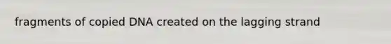 fragments of copied DNA created on the lagging strand