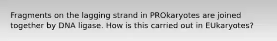 Fragments on the lagging strand in PROkaryotes are joined together by DNA ligase. How is this carried out in EUkaryotes?