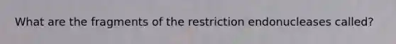 What are the fragments of the restriction endonucleases called?