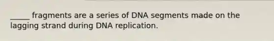 _____ fragments are a series of DNA segments made on the lagging strand during DNA replication.