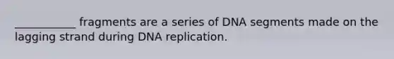 ___________ fragments are a series of DNA segments made on the lagging strand during DNA replication.