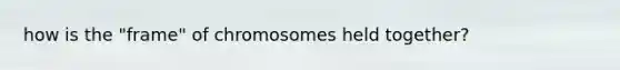 how is the "frame" of chromosomes held together?