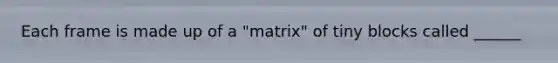 Each frame is made up of a "matrix" of tiny blocks called ______