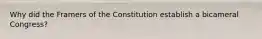 Why did the Framers of the Constitution establish a bicameral Congress?