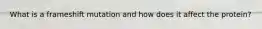 What is a frameshift mutation and how does it affect the protein?