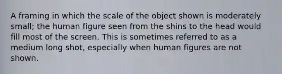 A framing in which the scale of the object shown is moderately small; the human figure seen from the shins to the head would fill most of the screen. This is sometimes referred to as a medium long shot, especially when human figures are not shown.