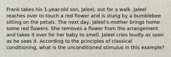 Frank takes his 1-year-old son, Jaleel, out for a walk. Jaleel reaches over to touch a red flower and is stung by a bumblebee sitting on the petals. The next day, Jaleel's mother brings home some red flowers. She removes a flower from the arrangement and takes it over for her baby to smell. Jaleel cries loudly as soon as he sees it. According to the principles of classical conditioning, what is the unconditioned stimulus in this example?