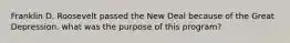 Franklin D. Roosevelt passed the New Deal because of the Great Depression. what was the purpose of this program?