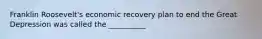 Franklin Roosevelt's economic recovery plan to end the Great Depression was called the __________