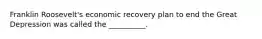 Franklin Roosevelt's economic recovery plan to end the Great Depression was called the __________.