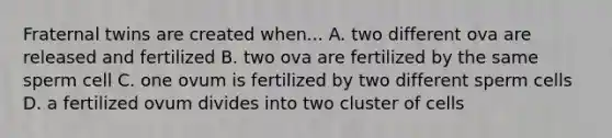 Fraternal twins are created when... A. two different ova are released and fertilized B. two ova are fertilized by the same sperm cell C. one ovum is fertilized by two different sperm cells D. a fertilized ovum divides into two cluster of cells