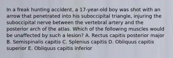 In a freak hunting accident, a 17-year-old boy was shot with an arrow that penetrated into his suboccipital triangle, injuring the suboccipital nerve between the vertebral artery and the posterior arch of the atlas. Which of the following muscles would be unaffected by such a lesion? A. Rectus capitis posterior major B. Semispinalis capitis C. Splenius capitis D. Obliquus capitis superior E. Obliquus capitis inferior