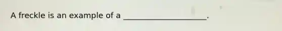 A freckle is an example of a _____________________.
