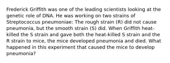 Frederick Griffith was one of the leading scientists looking at the genetic role of DNA. He was working on two strains of Streptococcus pneumoniae: The rough strain (R) did not cause pneumonia, but the smooth strain (S) did. When Griffith heat-killed the S strain and gave both the heat-killed S strain and the R strain to mice, the mice developed pneumonia and died. What happened in this experiment that caused the mice to develop pneumonia?