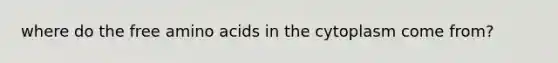 where do the free <a href='https://www.questionai.com/knowledge/k9gb720LCl-amino-acids' class='anchor-knowledge'>amino acids</a> in the cytoplasm come from?