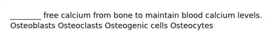 ________ free calcium from bone to maintain blood calcium levels. Osteoblasts Osteoclasts Osteogenic cells Osteocytes