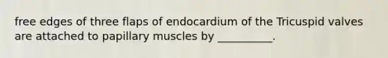 free edges of three flaps of endocardium of the Tricuspid valves are attached to papillary muscles by __________.