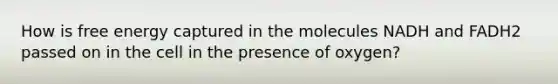 How is free energy captured in the molecules NADH and FADH2 passed on in the cell in the presence of oxygen?