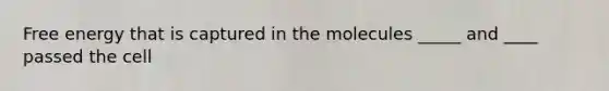 Free energy that is captured in the molecules _____ and ____ passed the cell