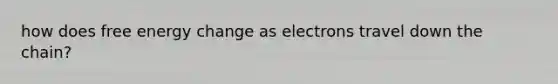 how does free energy change as electrons travel down the chain?