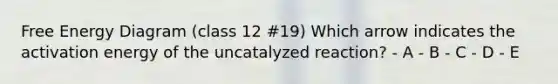 Free Energy Diagram (class 12 #19) Which arrow indicates the activation energy of the uncatalyzed reaction? - A - B - C - D - E