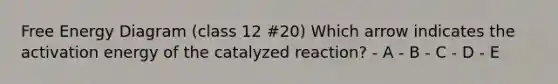 Free Energy Diagram (class 12 #20) Which arrow indicates the activation energy of the catalyzed reaction? - A - B - C - D - E