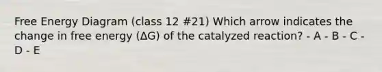 Free Energy Diagram (class 12 #21) Which arrow indicates the change in free energy (ΔG) of the catalyzed reaction? - A - B - C - D - E