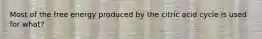 Most of the free energy produced by the citric acid cycle is used for what?