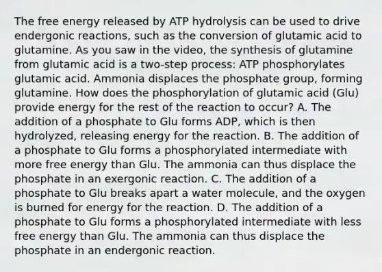 The free energy released by ATP hydrolysis can be used to drive endergonic reactions, such as the conversion of glutamic acid to glutamine. As you saw in the video, the synthesis of glutamine from glutamic acid is a two-step process: ATP phosphorylates glutamic acid. Ammonia displaces the phosphate group, forming glutamine. How does the phosphorylation of glutamic acid (Glu) provide energy for the rest of the reaction to occur? A. The addition of a phosphate to Glu forms ADP, which is then hydrolyzed, releasing energy for the reaction. B. The addition of a phosphate to Glu forms a phosphorylated intermediate with more free energy than Glu. The ammonia can thus displace the phosphate in an exergonic reaction. C. The addition of a phosphate to Glu breaks apart a water molecule, and the oxygen is burned for energy for the reaction. D. The addition of a phosphate to Glu forms a phosphorylated intermediate with less free energy than Glu. The ammonia can thus displace the phosphate in an endergonic reaction.