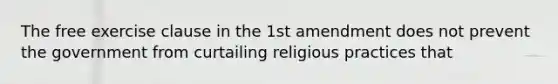 The free exercise clause in the 1st amendment does not prevent the government from curtailing religious practices that