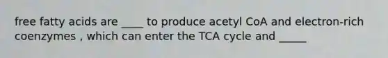 free fatty acids are ____ to produce acetyl CoA and electron-rich coenzymes , which can enter the TCA cycle and _____