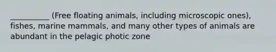 __________ (Free floating animals, including microscopic ones), fishes, marine mammals, and many other types of animals are abundant in the pelagic photic zone