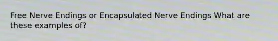 Free Nerve Endings or Encapsulated Nerve Endings What are these examples of?