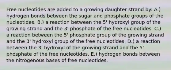 Free nucleotides are added to a growing daughter strand by: A.) hydrogen bonds between the sugar and phosphate groups of the nucleotides. B.) a reaction between the 5' hydroxyl group of the growing strand and the 3' phosphate of the free nucleotides. C.) a reaction between the 5' phosphate group of the growing strand and the 3' hydroxyl group of the free nucleotides. D.) a reaction between the 3' hydroxyl of the growing strand and the 5' phosphate of the free nucleotides. E.) hydrogen bonds between the nitrogenous bases of free nucleotides.