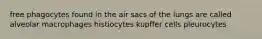 free phagocytes found in the air sacs of the lungs are called alveolar macrophages histiocytes kupffer cells pleurocytes