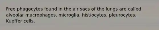 Free phagocytes found in the air sacs of the lungs are called alveolar macrophages. microglia. histiocytes. pleurocytes. Kupffer cells.